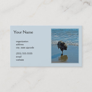 Keeshond Ballettfotos - Niedliche Original Dog Art Visitenkarte
