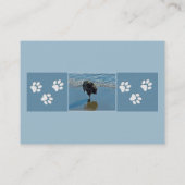 Keeshond Ballettfotos - Niedliche Original Dog Art Visitenkarte (Rückseite)