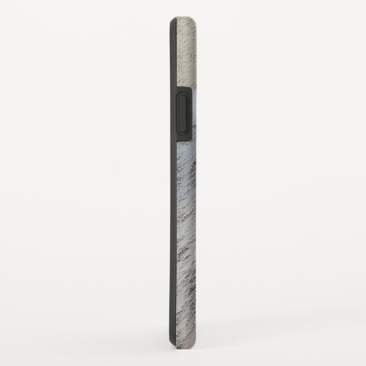 Keeshond Brothers Painting - Original Dog Art Case-Mate iPhone Hülle (Hinten/Rechts)