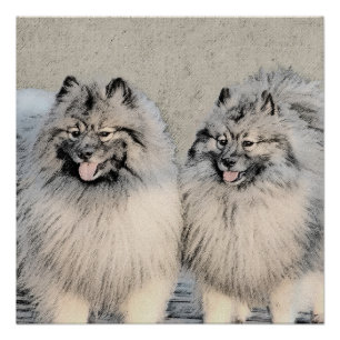 Keeshond Brothers Painting - Original Dog Art Poster