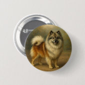 Keeshond Button (Vorne & Hinten)