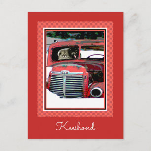 Keeshond Christmas Old Truck Malerei Hund Art Postkarte