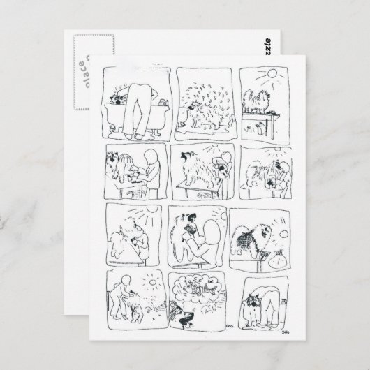 Keeshond Comic Bathtime Postkarte (Vorne/Hinten)