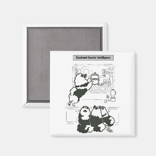 Keeshond Counter Intelligence Magnet (Vorderseite/Rückseite)