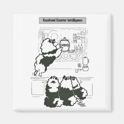 Keeshond Counter Intelligence Magnet (Vorne)