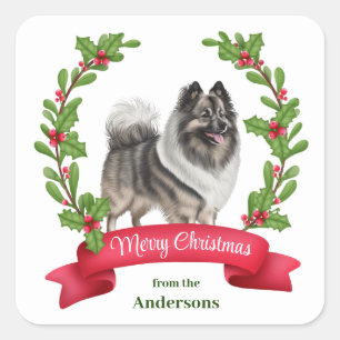 Keeshond Dog Holly Banner Weihnachten Quadratischer Aufkleber