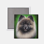Keeshond Dog in St. Patrick's Day Dress Magnet (Vorderseite/Rückseite)