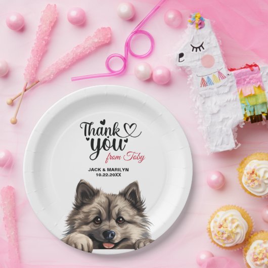 Keeshond Dog Pappteller (Party)