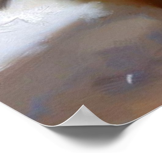 Keeshond Dog Poster (Ecke)