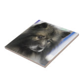 Keeshond-Fliese Fliese (Seite)