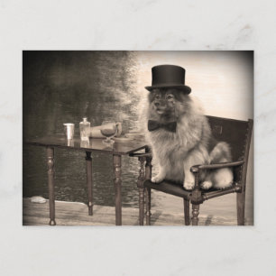 Keeshond Gentleman's Afternoon Postkarte