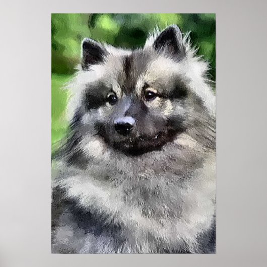 Keeshond gibt Kunstdrucke Poster (Vorne)