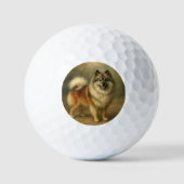 Keeshond Golfball (Vorderseite)