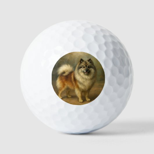 Keeshond Golfball (Vorderseite)