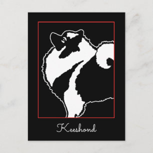 Keeshond Graphics - Niedliche Original Dog Art Postkarte