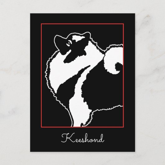 Keeshond Graphics - Niedliche Original Dog Art Postkarte (Vorderseite)