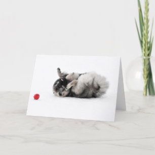 Keeshond-Gruß-Karte Karte