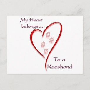 Keeshond Heart zählt Postkarte