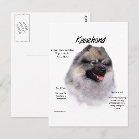 Keeshond History Design Postkarte (Vorne/Hinten)