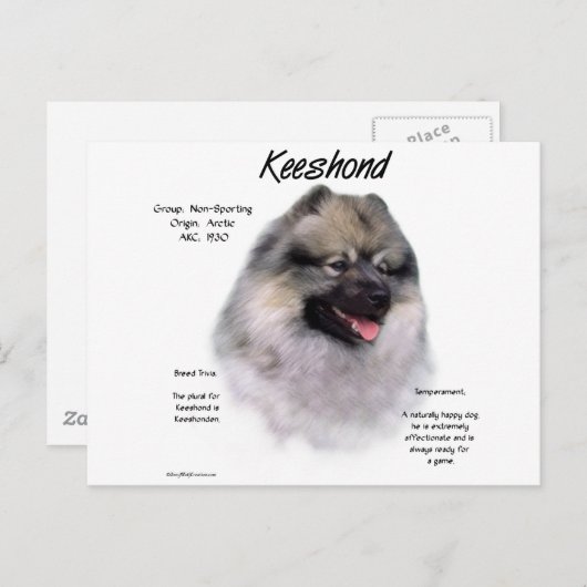 Keeshond History Design Postkarte (Vorne/Hinten)