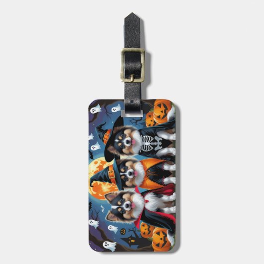 Keeshond Hogs Pumpkin Halloween Funny Gepäckanhänger (Vorderseite vertikal)