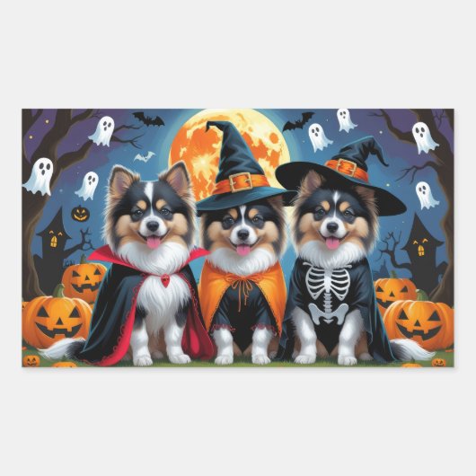 Keeshond Hogs Pumpkin Halloween Funny Rechteckiger Aufkleber (Vorderseite)