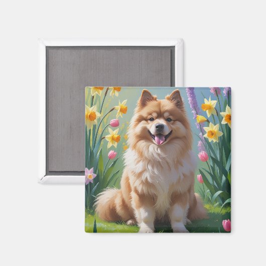 Keeshond Hund Frühlingsblumen Malerei Magnet (Vorderseite/Rückseite)