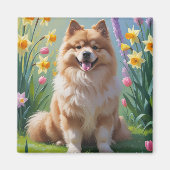 Keeshond Hund Frühlingsblumen Malerei Magnet (Vorne)