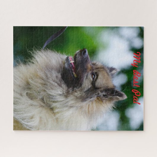 Keeshond Hund. Puzzle (Horizontal)