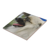 Keeshond-Hundefliese Fliese (Seite)