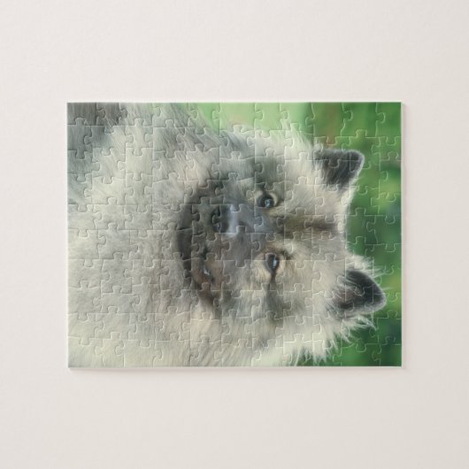 Keeshond-Hundepuzzlespiel Puzzle (Horizontal)