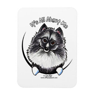 Keeshond IAAM Magnet