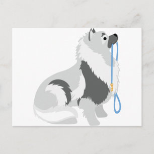 Keeshond Leash Postkarte