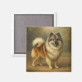 Keeshond Magnet