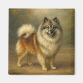 Keeshond Magnet (Vorne)