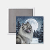 Keeshond Magnet (Vorderseite/Rückseite)