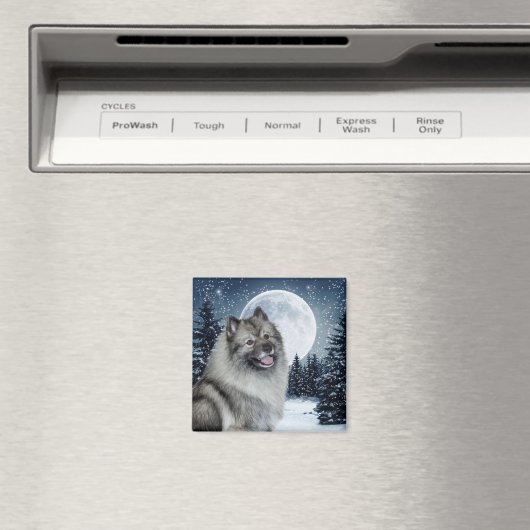 Keeshond Magnet (In Situ (Geschirrspüler))