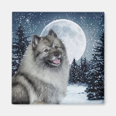 Keeshond Magnet (Vorne)