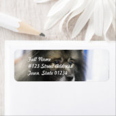 Keeshond Mailing Labels (Insitu)