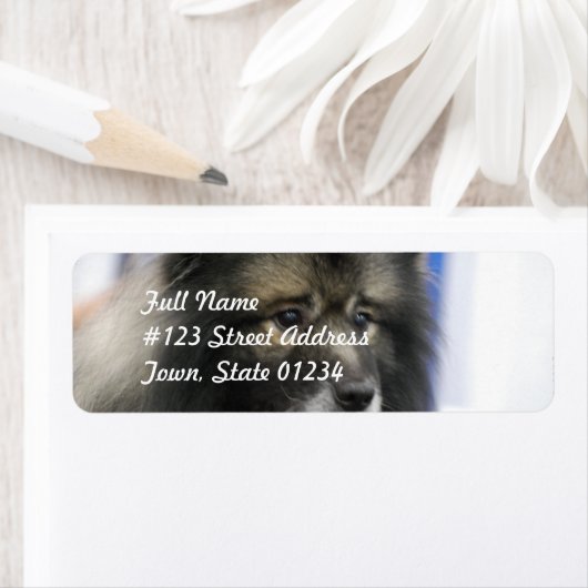 Keeshond Mailing Labels (Insitu)