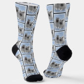 Keeshond Malen 2 Keeshonden Original Hunde Kunst Socken (Gewinkelt)