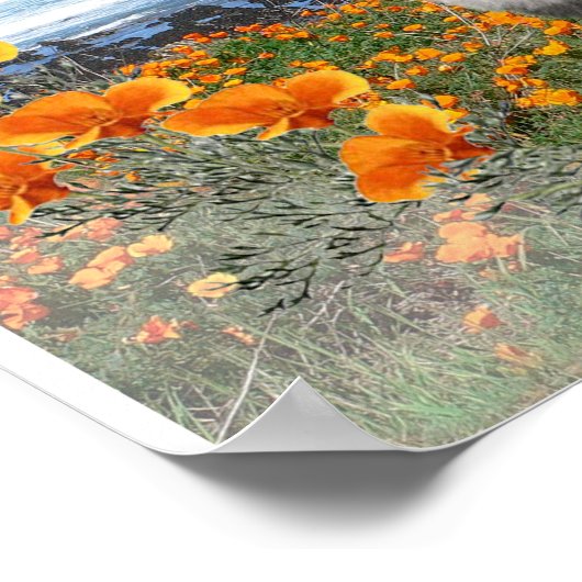 Keeshond National Logo Art Poster (Ecke)