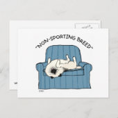 Keeshond "Non-Sporting Breed" Postkarte (Vorne/Hinten)