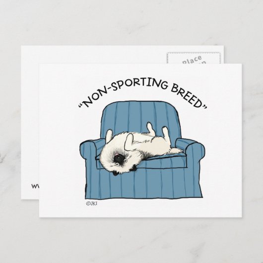 Keeshond "Non-Sporting Breed" Postkarte (Vorne/Hinten)