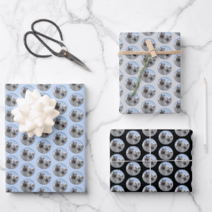 Keeshond-Paar Kees-Malerei Originale Tierkunst Geschenkpapier Set