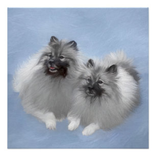 Keeshond-Paar Kees-Malerei Originale Tierkunst Poster