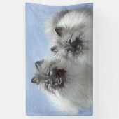 Keeshond Pair of Kees Painting Original Animal Art Banner (Vertikal)