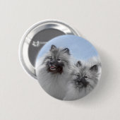 Keeshond Pair of Kees Painting Original Animal Art Button (Vorne & Hinten)