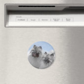 Keeshond Pair of Kees Painting Original Animal Art Magnet (In Situ (Geschirrspüler))