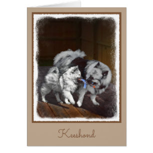 Keeshond Playtime Malerei - Niedliche Original Dog